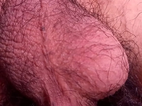 Close up of an Asian boy’s hairy nuts in a solo porn video.