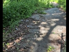 First time jerking off in the woods